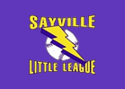 Sayville wins 11u Softball D35 title