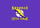 Sayville wins 12u Softball D35 title